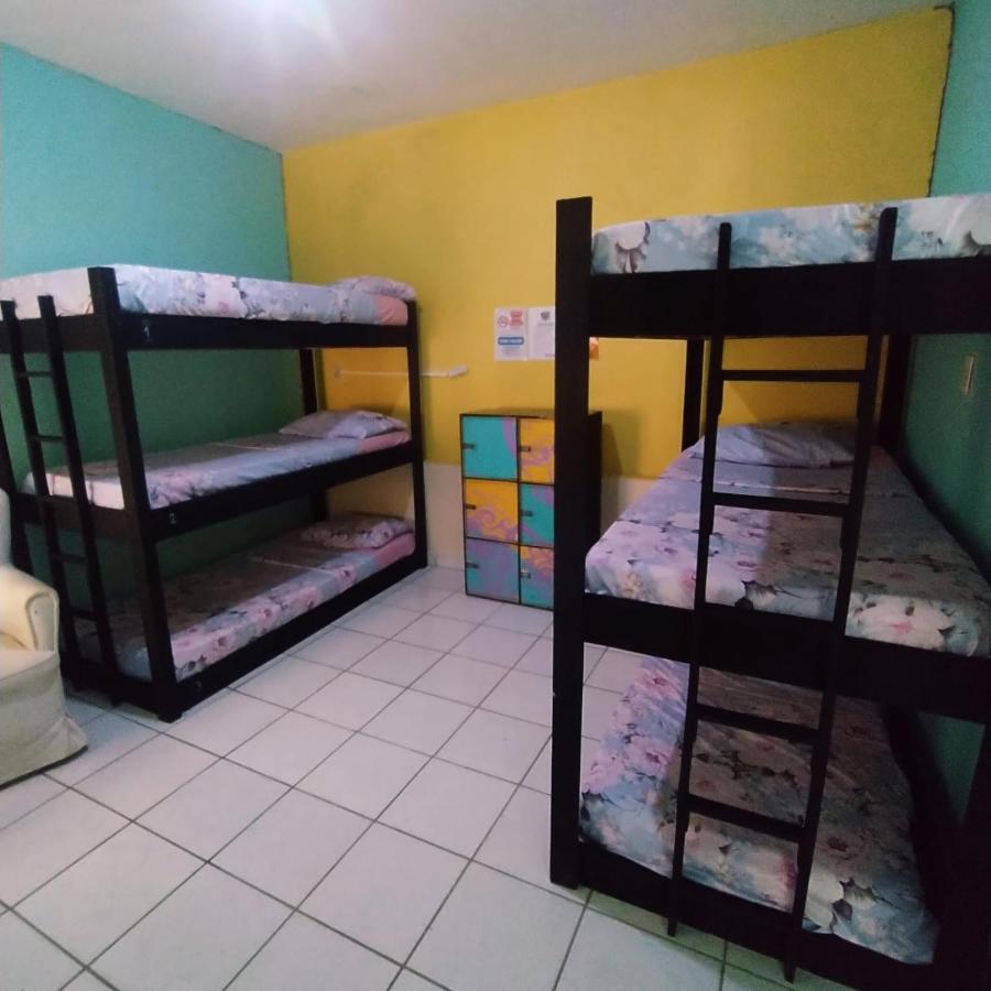 Proxima Estacion Hostel Масейо Екстер'єр фото